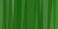209greenbackground