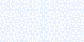 210snowflake