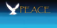 245-Peace-3